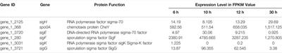 Multiple Modular Engineering of Bacillus Amyloliquefaciens Cell Factories for Enhanced Production of Alkaline Proteases From B. Clausii